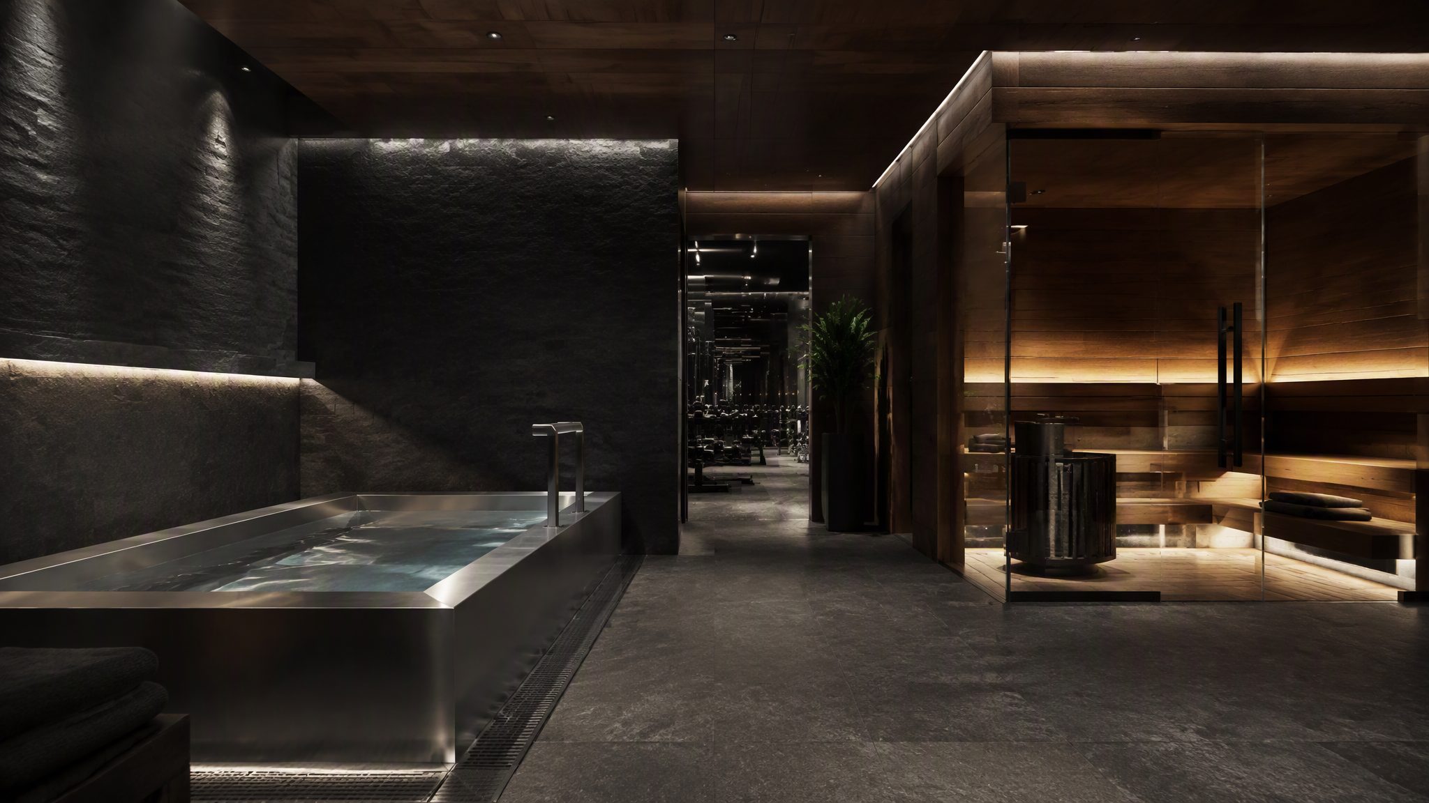 Concept image of a commercial recovery suite with plunge pool and sauna